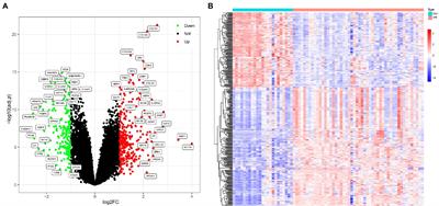 Frontiers Machine Learning Based Prediction Of Candidate Gene